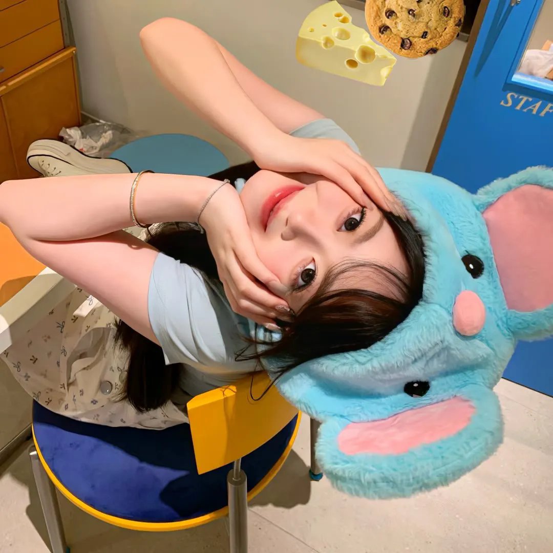 萌犬偷渡记